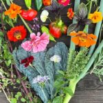 Heart-Shaped Harvest: Zinnia, Kale, Rosemary, Marigold, Scallions, and Viola