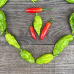 Heart Shaped Pepper Harvest