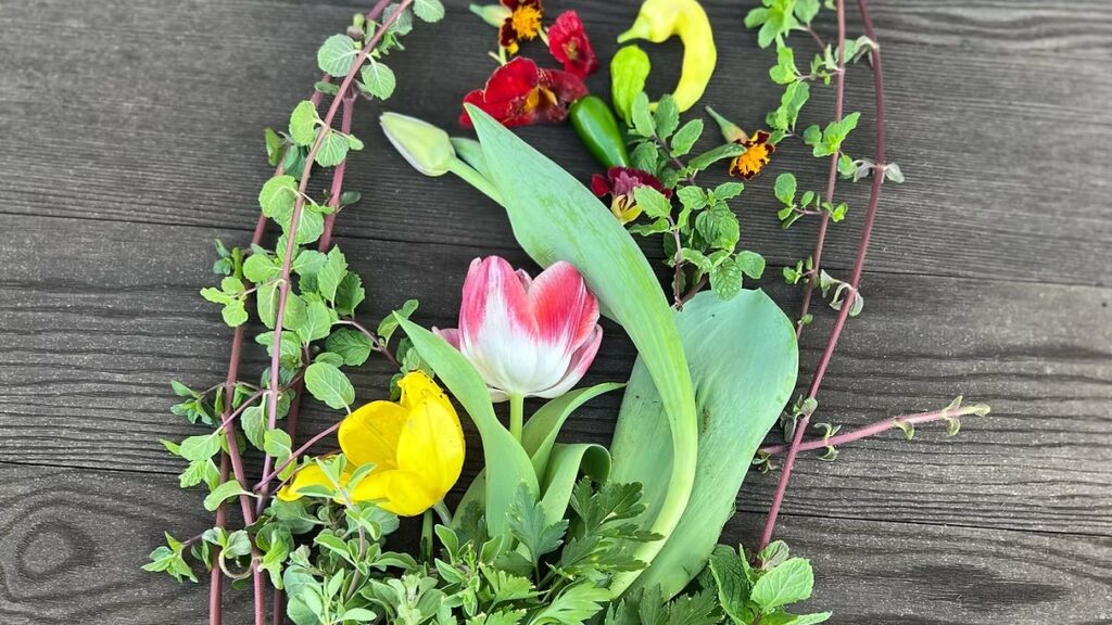 Tulips, Mint, and Cosmos Harvest