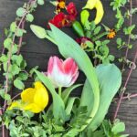 Tulips, Mint, and Cosmos Harvest
