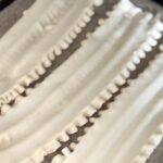 Lasagne Sheets