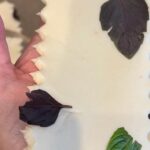 A hand holding a sheet of bail laminated pasta dough with scalloped edges and embedded basil leaves. Vibrant kitchen towels in the background.