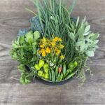 Fresh herbs and vegetables arrangement