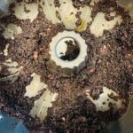 Empty baking pan with residue