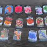 Variety of seed packets on table
