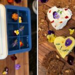 Decorative edible flowers on food
