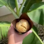 Gluten-Free Banana Muffins