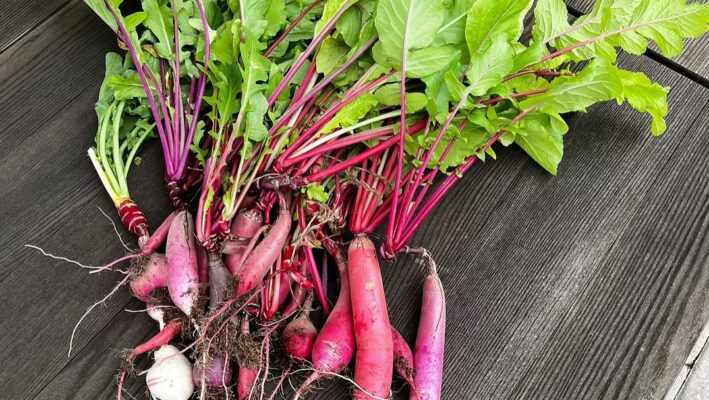Radish Greens Pesto Recipe