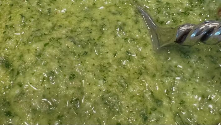Cilantro Citronnade