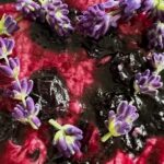 Blueberry Lavender Lemon Jam