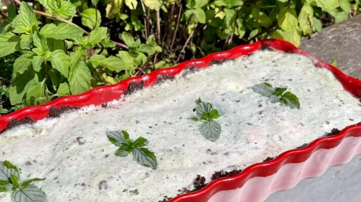 Easy No-Churn Mint Ice Cream Recipe
