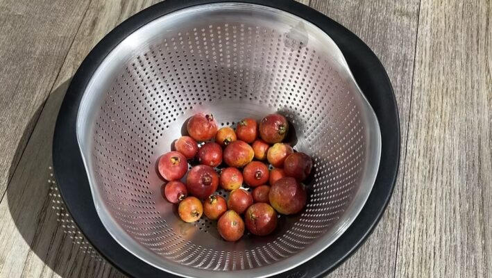 Guavaberry Drink and Jam Recipe
