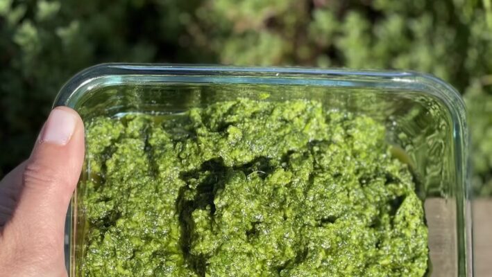 Homemade Pistou (Pesto Nut Free)
