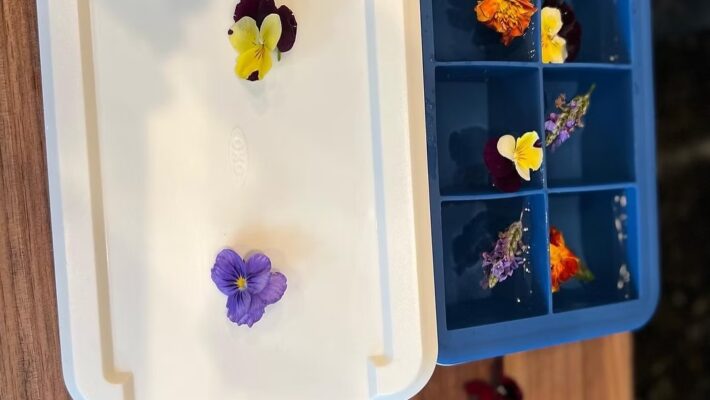 Garden Ice Cubes