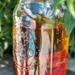 Chili Infused Olive Oil