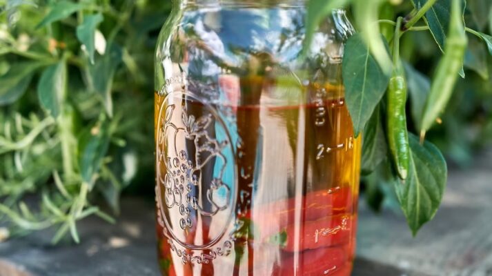 Chili Infused Olive Oil