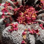 Gluten-Free Chocolate Raspberry Chipotle Bundt Cake