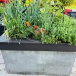 Raised Garden Bed