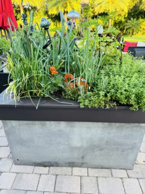 Raised Bed Gardening for Small Spaces and Backyards: Grow More Food in Less Space