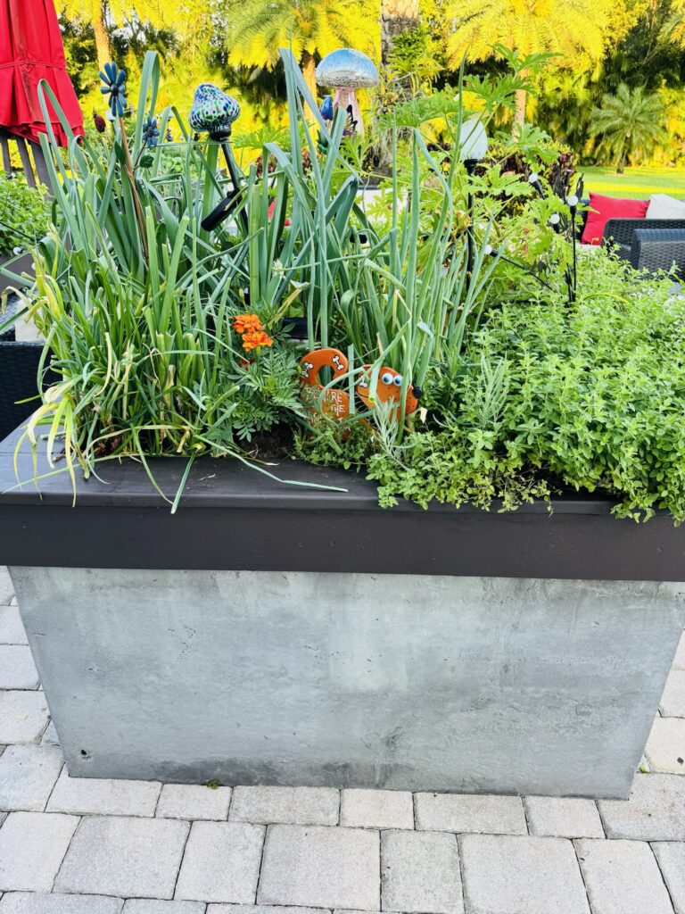 Raised Garden Bed