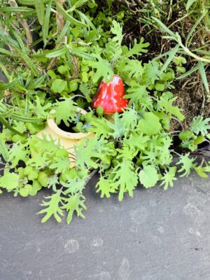 Maximize Your Garden’s Health with Ollas: The Ultimate Guide to Terracotta Watering Spikes
