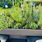 Raised garden bed filled with rosemary, sage, pepper plants, and decorative mushroom lights in a sunny backyard.