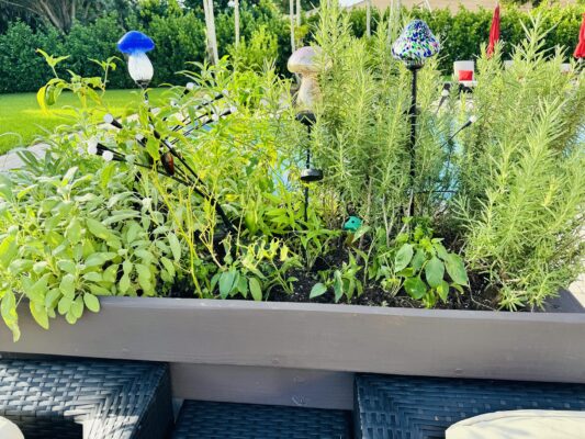 What to Plant in Raised Beds Each Month: A Complete Zone-Based Gardening Guide
