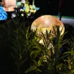 Blue and golden glass mushroom lights glowing among leafy plants in a nighttime garden.
