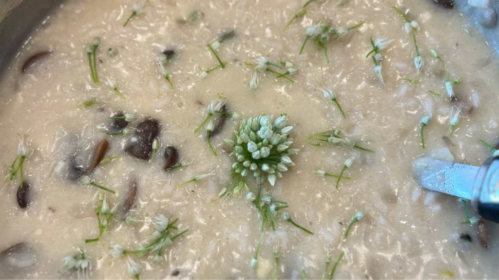 Creamy mushroom risotto garnished with fresh chive blossoms and chopped chives.