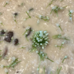 Creamy mushroom risotto garnished with fresh chive blossoms and chopped chives.