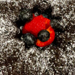 Gluten-Free Chocolate Bundt Cake scaled